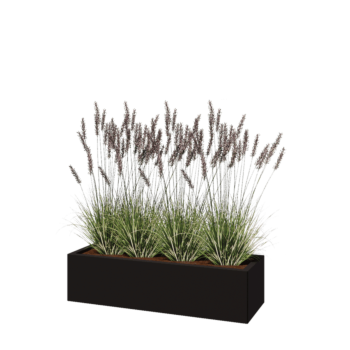 Jardinière en acier - Rectangle - 120 x 40 x 30 cm - RAL9005 mat (noir) - Sanc plaque de fond