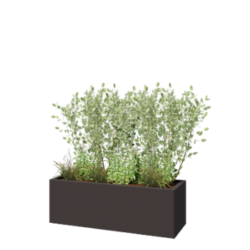 Jardinière en acier - Rectangle - 120 x 40 x 40 cm - RAL7016 mat (gris anthracite) - Avec plaque de fond