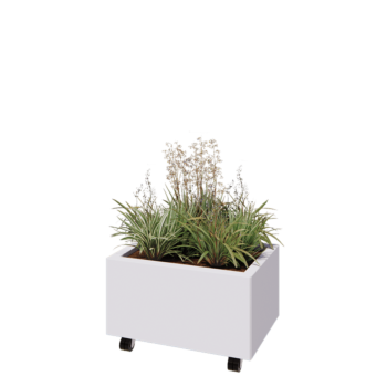 Jardinière en acier - Rectangle - 60 x 40 x 30 cm - RAL9010 mat (blanc) - Avec plaque de fond - Avec roulettes