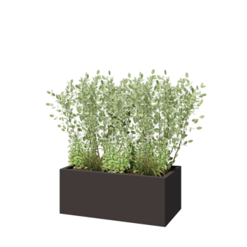 Jardinière en acier - Rectangle - 100 x 50 x 40 cm - RAL7016 mat (gris anthracite) - Avec plaque de fond