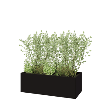 Jardinière en acier - Rectangle - 120 x 50 x 40 cm - RAL9005 mat (noir) - Avec plaque de fond