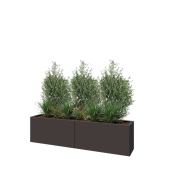 Jardinière XXL en acier - Rectangle - 160 x 30 x 40 cm - RAL7016 mat (gris anthracite) - Avec plaque de fond Jardinière XXL en acier - Rectangle - 160 x 30 x 40 cm - RAL7016 mat (gris anthracite) - Avec plaque de fond
