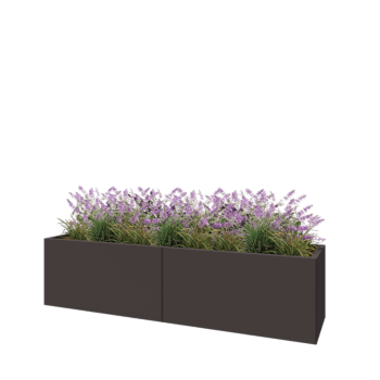 Jardinière XXL en acier - Rectangle - 200 x 50 x 50 cm - RAL7016 mat (gris anthracite) - Sanc plaque de fond