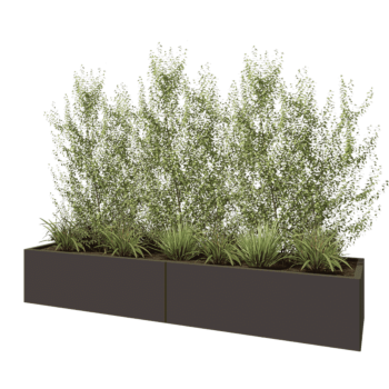 Jardinière XXL en acier - Rectangle - 240 x 60 x 40 cm - RAL7016 mat (gris anthracite) - Avec plaque de fond