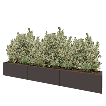 Jardinière XXL en acier - Rectangle - 300 x 30 x 40 cm - RAL7016 mat (gris anthracite) - Avec plaque de fond