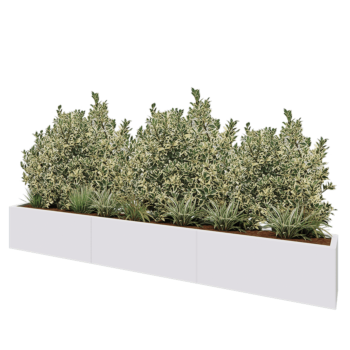 Jardinière XXL en acier - Rectangle - 300 x 30 x 40 cm - RAL9010 mat (blanc) - Sanc plaque de fond