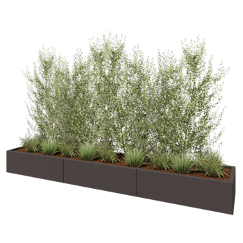Jardinière XXL en acier - Rectangle - 300 x 50 x 30 cm - RAL7016 mat (gris anthracite) - Sanc plaque de fond