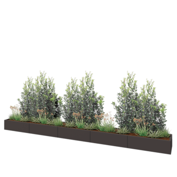 Jardinière XXL en acier - Rectangle - 500 x 50 x 30 cm - RAL7016 mat (gris anthracite) - Sanc plaque de fond