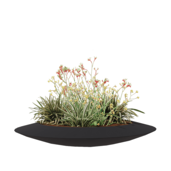 Jardinière en polyester - Coupe - Ø 120 x 20 cm - RAL7021 mat (gris noir) - Avec fond