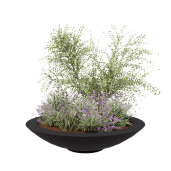 Jardinière en polyester - Coupe - Ø 153 x 34 cm - RAL7021 mat (gris noir) - Avec fond