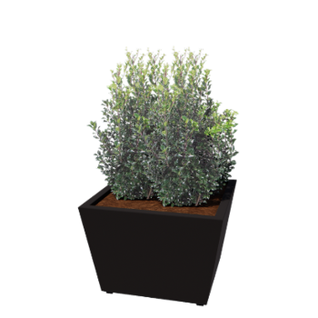 Jardinière en acier - Cône - 80 x 80 x 51,5 cm - Soudé - RAL9005 mat (noir) - Avec plaque de fond