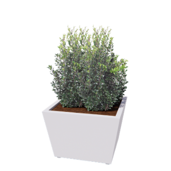 Jardinière en acier - Cône - 80 x 80 x 51,5 cm - Soudé - RAL9010 mat (blanc) - Avec plaque de fond