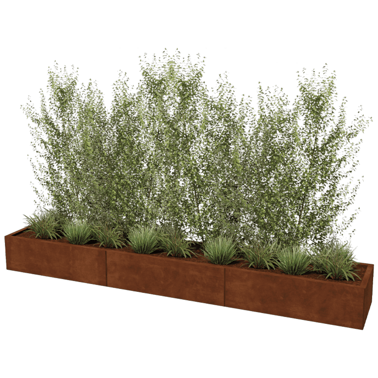 Bac à plantes en acier corten Texas xxl 300 x 50 cm