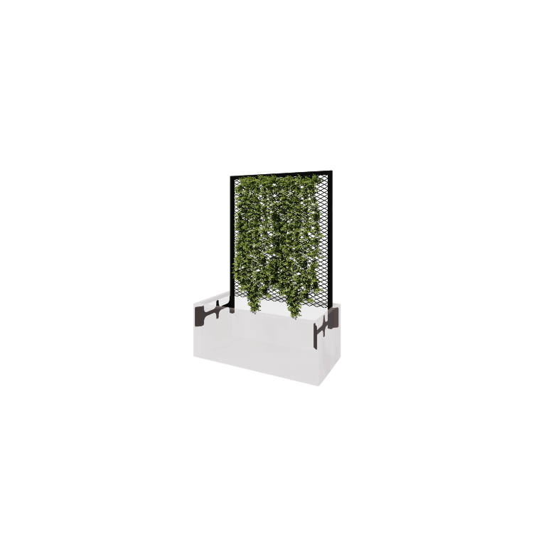 Support pour plantes grimpantes noir pour jardinière 100 x 50 cm