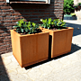 Bac à plantes en acier corten Miami 500x500