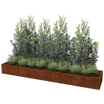 Bac à plantes en acier corten Texas xxl 300 x 60 cm
