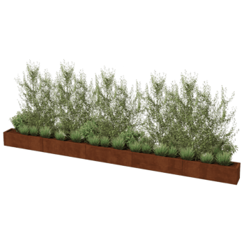 Jardinière en acier corten Texas xxl 500 x 30 cm