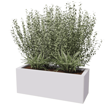 Bac à plantes en acier thermolaqué Texas 30 x 80 cm