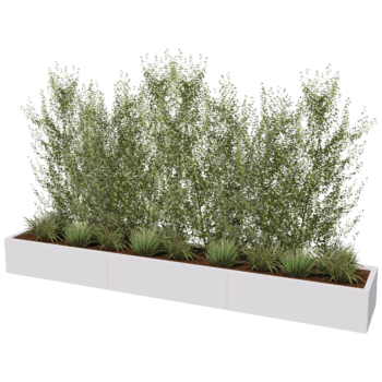 Bac à plantes en acier thermolaqué Texas xxl 300 x 50 cm