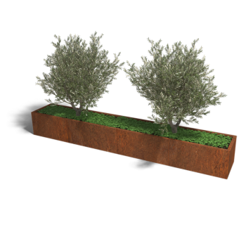 Bac à plantes en acier corten Texas xxl 320 x 50 cm