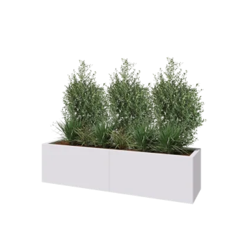 Jardinière XXL en acier - Rectangle - 160 x 40 x 40 cm - RAL9010 mat (blanc) - Sanc plaque de fond