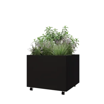 Jardinière en acier - Carré - 80 x 80 x 60 cm - RAL9005 mat (noir) - Avec plaque de fond - Avec roulettes