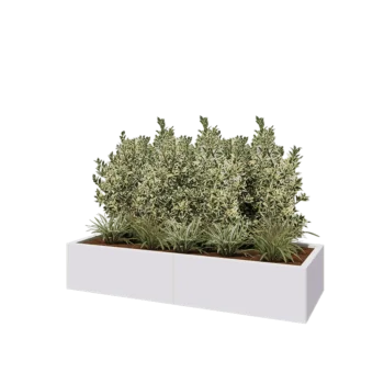 Jardinière XXL en acier - Rectangle - 160 x 60 x 30 cm - RAL9010 mat (blanc) - Avec plaque de fond