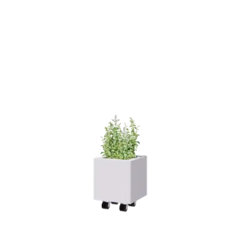 Jardinière en acier - Carré - 30 x 30 x 30 cm - RAL9010 mat (blanc) - Avec plaque de fond - Avec roulettes