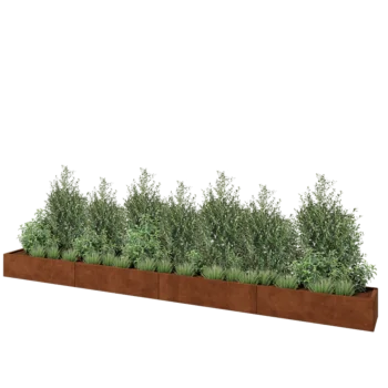 Jardinière XXL en acier Corten - Rectangle - 480 x 40 x 30 cm - Sanc plaque de fond