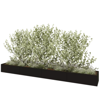 Jardinière XXL en acier - Rectangle - 480 x 60 x 40 cm - RAL9005 mat (noir) - Avec plaque de fond