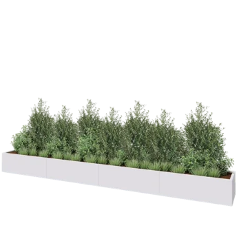 Jardinière XXL en acier - Rectangle - 480 x 50 x 40 cm - RAL9010 mat (blanc) - Sanc plaque de fond