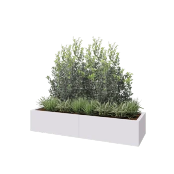 Jardinière XXL en acier - Rectangle - 160 x 50 x 30 cm - RAL9010 mat (blanc) - Avec plaque de fond