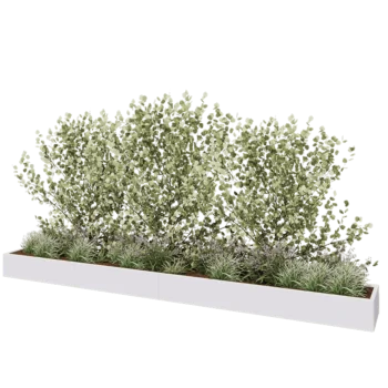 Jardinière XXL en acier - Rectangle - 480 x 50 x 30 cm - RAL9010 mat (blanc) - Avec plaque de fond