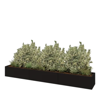 Jardinière XXL en acier - Rectangle - 360 x 50 x 40 cm - RAL9005 mat (noir) - Avec plaque de fond