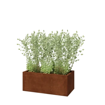 Jardinière en acier Corten - Rectangle - 100 x 50 x 40 cm - Avec plaque de fond