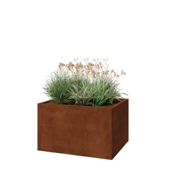 Jardinière en acier Corten - Rectangle - 100 x 80 x 60 cm - Avec plaque de fond