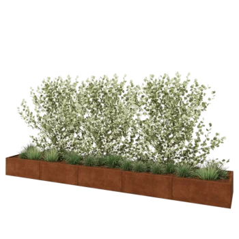 Jardinière XXL en acier Corten - Rectangle - 500 x 80 x 40 cm - Avec plaque de fond