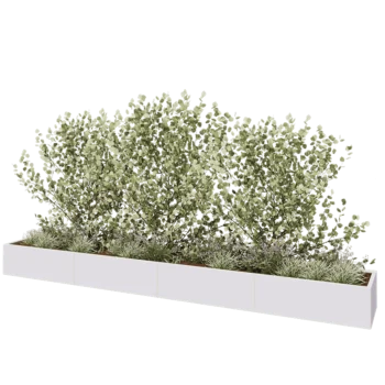 Jardinière XXL en acier - Rectangle - 480 x 60 x 40 cm - RAL9010 mat (blanc) - Sanc plaque de fond