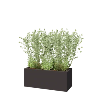 Jardinière en acier - Rectangle - 100 x 40 x 40 cm - RAL7016 mat (gris anthracite) - Sanc plaque de fond