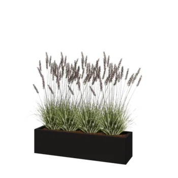 Jardinière en acier - Rectangle - 120 x 30 x 30 cm - RAL9005 mat (noir) - Sanc plaque de fond