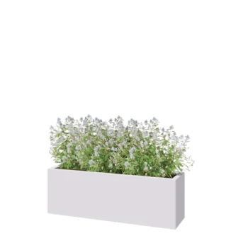 Jardinière en acier - Rectangle - 120 x 30 x 40 cm - RAL9010 mat (blanc) - Avec plaque de fond