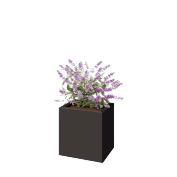 Jardinière en acier - Rectangle - 40 x 30 x 40 cm - RAL7016 mat (gris anthracite) - Sanc plaque de fond