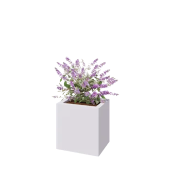 Jardinière en acier - Rectangle - 40 x 30 x 40 cm - RAL9010 mat (blanc) - Sanc plaque de fond