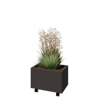 Jardinière en acier - Rectangle - 50 x 30 x 30 cm - RAL7016 mat (gris anthracite) - Avec plaque de fond - Avec roulettes