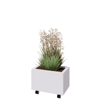 Jardinière en acier - Rectangle - 50 x 30 x 30 cm - RAL9010 mat (blanc) - Avec plaque de fond - Avec roulettes