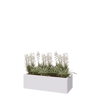 Jardinière en acier - Rectangle - 100 x 40 x 30 cm - RAL9010 mat (blanc) - Sanc plaque de fond