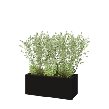 Jardinière en acier - Rectangle - 100 x 40 x 40 cm - RAL9005 mat (noir) - Avec plaque de fond