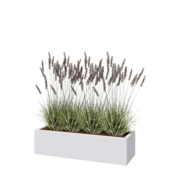 Jardinière en acier - Rectangle - 120 x 40 x 30 cm - RAL9010 mat (blanc) - Sanc plaque de fond