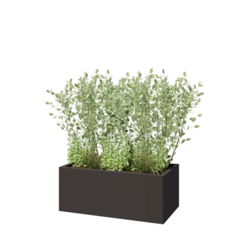 Jardinière en acier - Rectangle - 100 x 50 x 40 cm - Autre couleur RAL - Sanc plaque de fond