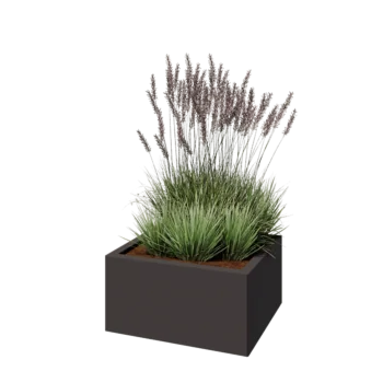 Jardinière en acier - Rectangle - 60 x 50 x 30 cm - RAL7016 mat (gris anthracite) - Sanc plaque de fond